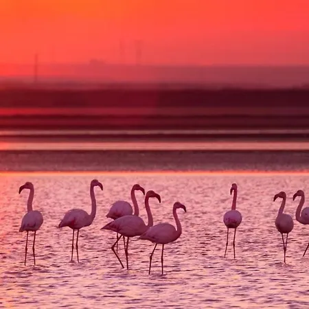 Сasa de vacaciones Cabras, Vacanze A Due Passi Dal Mare