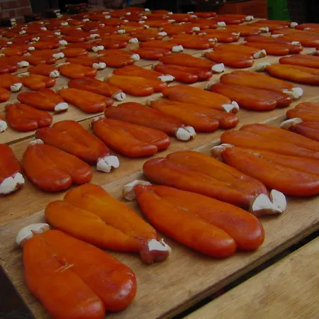 Cabras, Vacanze A Due Passi Dal Mare *